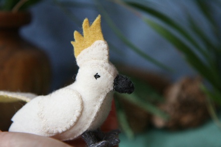 Cockatoo