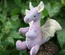 Baby Dragon, Light Purple / Yellow