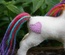 Rainbow and Heart Unicorn