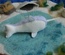 Soft Blue Narwhal