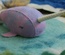 Purple & Blue Toned Narwhal