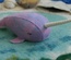 Purple & Blue Toned Narwhal