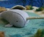 Soft Blue Narwhal