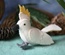 Cockatoo