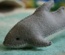 Bull Shark (Grey Stitching)