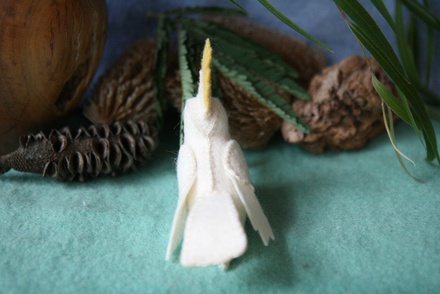 Cockatoo