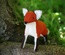 Woodland Fox