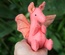 Baby Dragon, Light Red / Orange