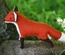 Woodland Fox