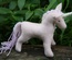 Pink Unicorn