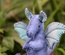 Baby Dragon, Blue