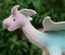 Taraleigh's Dragon, Pink & Aqua Blend