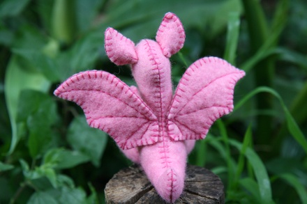Baby Dragon, Pink