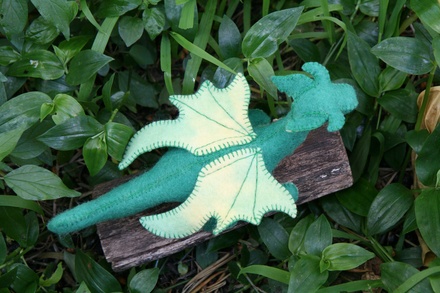 Taraleigh's Dragon, Green