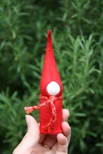 Red Gnome 1