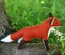 Woodland Fox