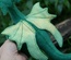 Taraleigh's Dragon, Green