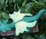Taraleigh's Dragon, Green