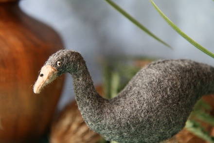 Emu