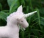 Pink Unicorn