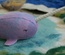 Purple & Blue Toned Narwhal