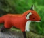 Woodland Fox