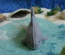 Bull Shark (Blue Stitching)