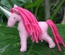 Pink Unicorn